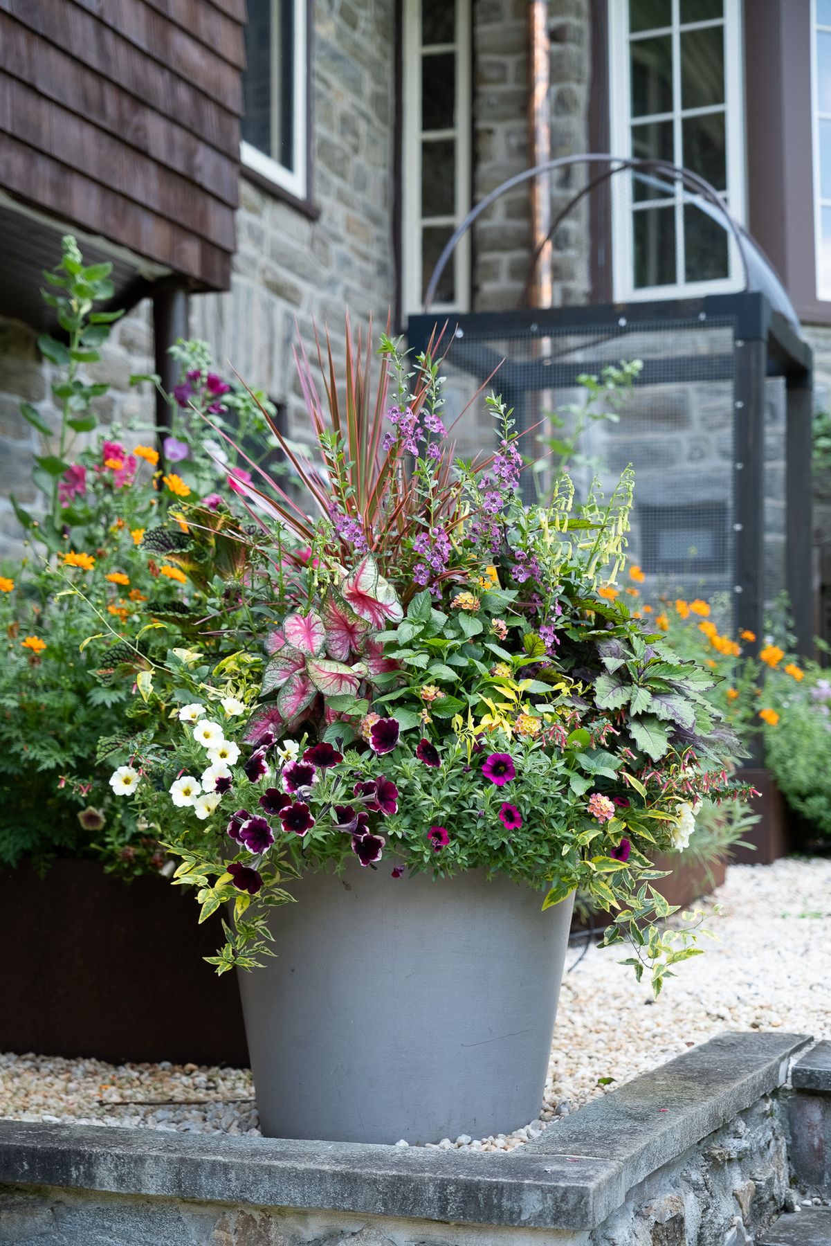 Enliven Planters summer container arrangement